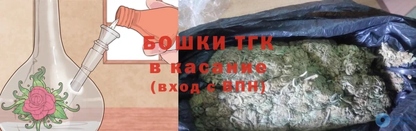ПСИЛОЦИБИНОВЫЕ ГРИБЫ Корсаков
