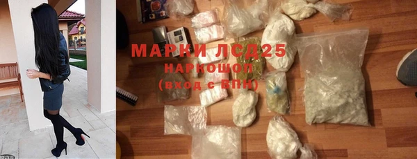 СК Коряжма