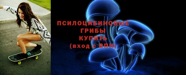 ПСИЛОЦИБИНОВЫЕ ГРИБЫ Корсаков