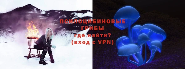 ПСИЛОЦИБИНОВЫЕ ГРИБЫ Корсаков