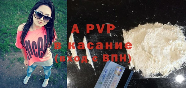 ПСИЛОЦИБИНОВЫЕ ГРИБЫ Корсаков