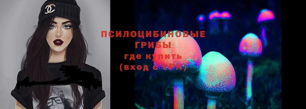 первитин Костерёво