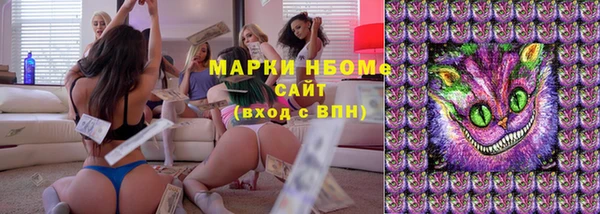 СК Коряжма