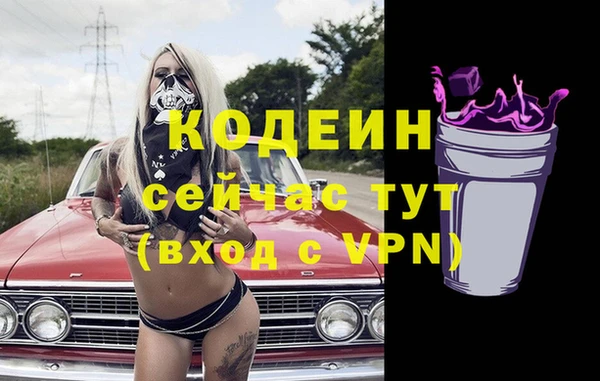 СК Коряжма