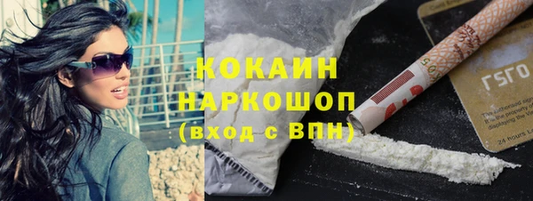 ПСИЛОЦИБИНОВЫЕ ГРИБЫ Корсаков