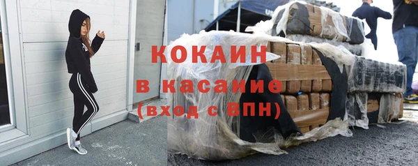 СК Коряжма
