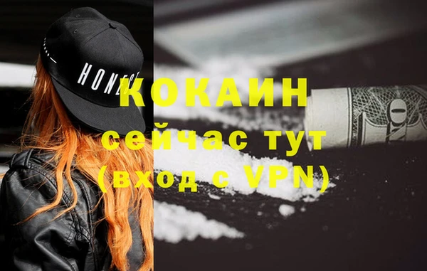 СК Коряжма